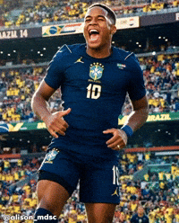 Brasilhexa GIF