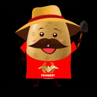 agroindustriapeimbert papas peimbert cosechapeimbert cosechando GIF