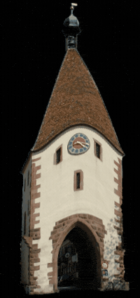 Tor Kaiserstuhl GIF by andreanderswo