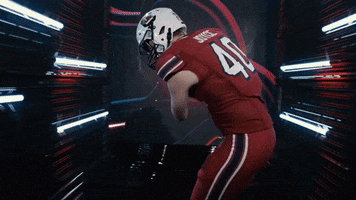 College Football GIF by gamecocksonline