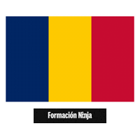 Flag Bandera Sticker by Formación Ninja