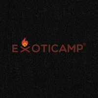 GIF by Exoticamp