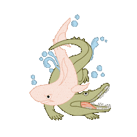 Water Shark Sticker