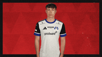 Hamburger Sv Football GIF by Bundesliga