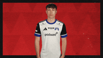 Hamburger Sv Football GIF by Bundesliga