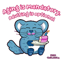 Happy Birthday Eating Sticker by VeeFriends