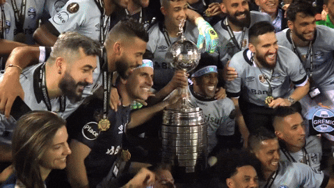 libertadores gremio campeao GIF by Grêmio