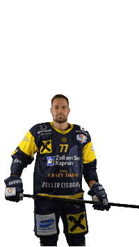 Zellamsee Ekz Sticker by EK Zeller Eisbären