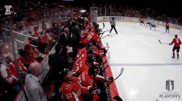 Happy Stanley Cup Playoffs GIF by NHL