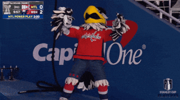 Happy Stanley Cup Playoffs GIF by NHL