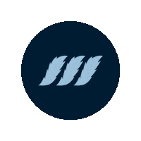 Pay Srilanka Sticker by Mintpay