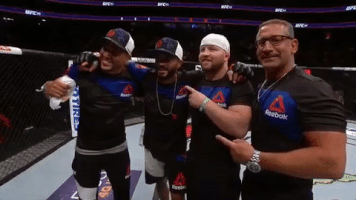 ufc 213 GIF