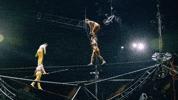 Teamwork Circus GIF by Ringling Bros. and Barnum & Bailey