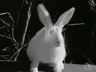 Black And White Vintage GIF by Okkult Motion Pictures