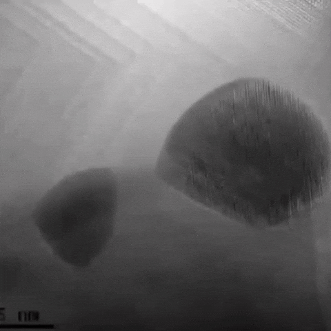 arsmagine giphyupload nature quantum atoms GIF