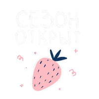 Strawberry Sticker