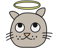 Cat Angel GIF by Thank You Coffee