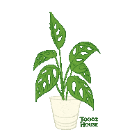 Plants Thc Sticker by Toko Kopi Tuku