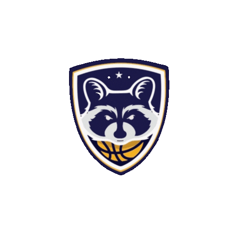 Sticker by Basquete Paraná - FPRB