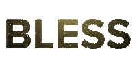 New Orleans Football Sticker by WWL-TV