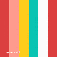 SproutSocial marketing social media data Sprout GIF