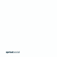 SproutSocial marketing social media data Sprout GIF