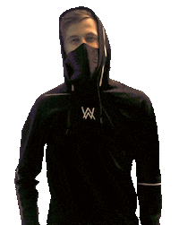 alanwalker spotifyonstage Sticker by Spotify Japan