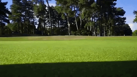 EnveeGolf giphygifmaker GIF