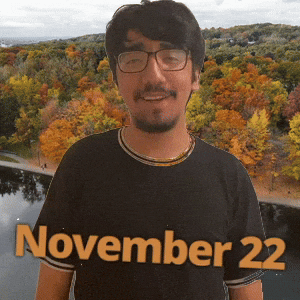 November 22