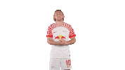 Oh Yeah Yes Sticker by RB Leipzig