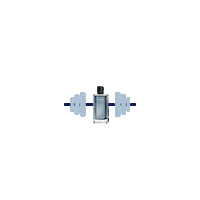 Ocean Fragrance Sticker by Escada Fragrances