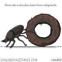 Dung Beetle GIF by Underdone Comics