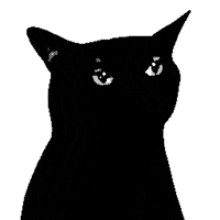 srodan art cat animation animated GIF
