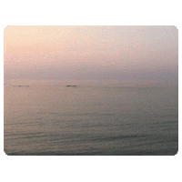 Artist Ocean Sticker by OPCD