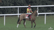 Nervous What The GIF by Ascot Racecourse