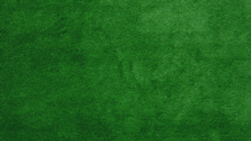 pioneerathletic giphyupload football paint turf GIF