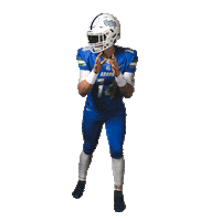 University Of West Florida Football Sticker by UWF