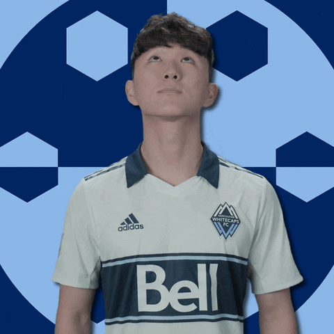 Vancouver Whitecaps GIF by Major League Soccer