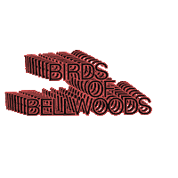 birdsbellwoods music rock trending radio Sticker