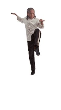 Kung Fu Balance Sticker by Sony Pictures