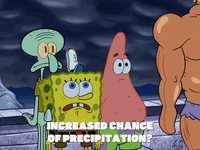 season 6 GIF by SpongeBob SquarePants