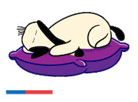 Copito Injuv Chile Sticker by INJUV