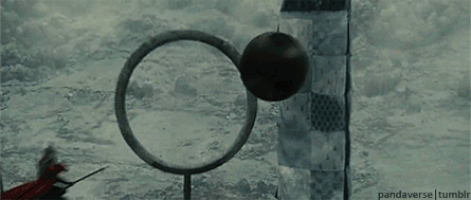 quidditch GIF