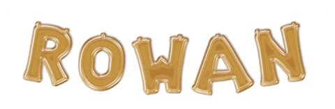 Rowanu Rowanproud Sticker by Rowan University