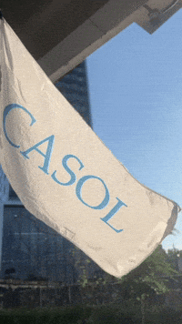 Motivation Success GIF by Casol