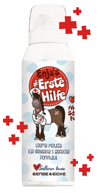 Pferdepflege Erstehilfe Sticker by Soulhorse.de