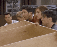 Season 3 Friends Tv Show GIF by Friends