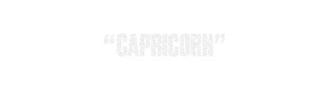 Vw Sticker by Vampire Weekend