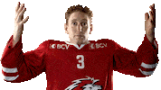 Lhc Lausannehc Sticker by Lausanne Hockey Club