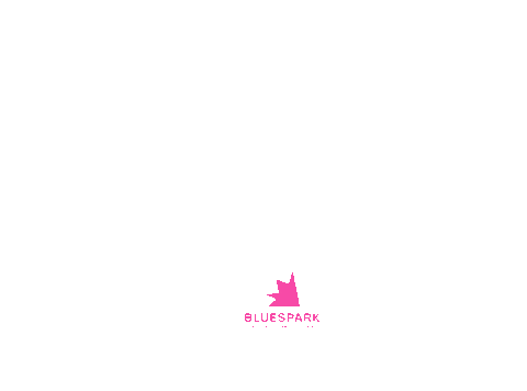Blue Spark Sticker by Blue Spark Solutions